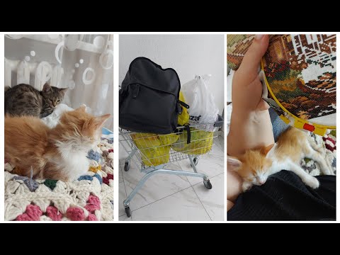 Видео: VLOG 542: КАК НА СВИДАНИЕ!)