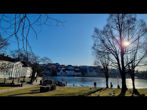 Видео: Норвежцы едят много рыбы? Миф или реальность.