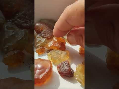 Видео: Сердолик
