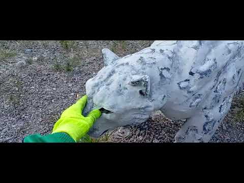 Видео: Снежный Барс и Я.