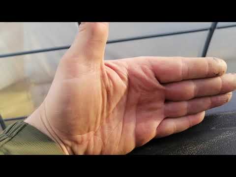 Видео: Рм800 отзывы владельцев