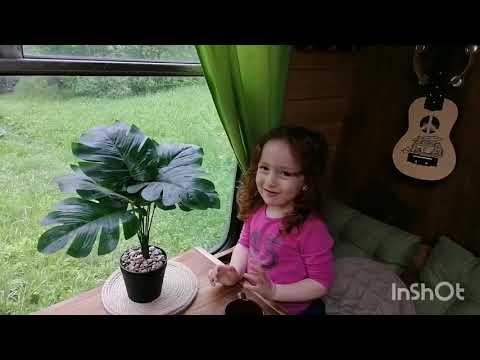 Видео: Автодом Паз первый выезд, Баня, греется двигатель..