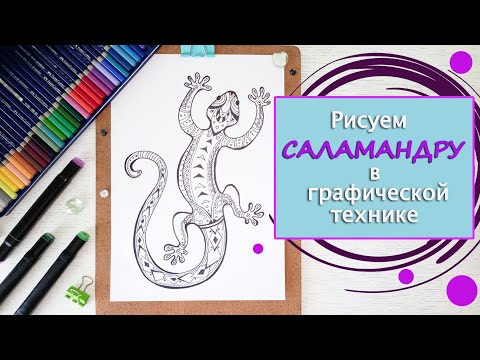 Видео: Рисуем САЛАМАНДРУ в графической технике ЗЕНАРТ🦎 #скетчинг #рисунокмаркером #рисованиедляначинающих