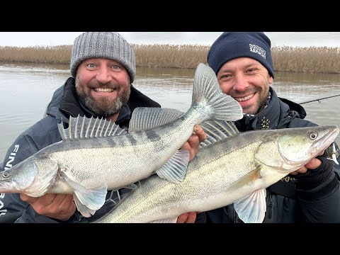 Видео: ПОПАЛИ НА ЖОР СУДАКА! Рыбаки поймут 👍