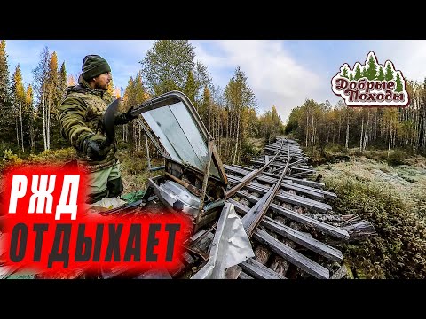 Видео: На мотодрезине по узкоколейке. Опасные переезды. Заброшенные места.