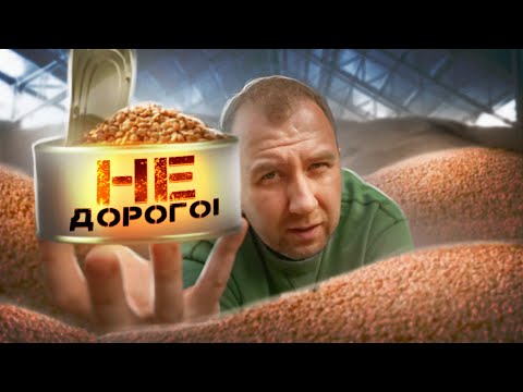 Видео: ГРЕЧКА | 2023 | ГОТОВЛЮ НА ОДНОЙ СКОВОРОДЕ!
