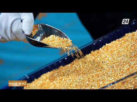 Видео: Алтынды аффинаж технологиясымен өндіру | Made in KZ
