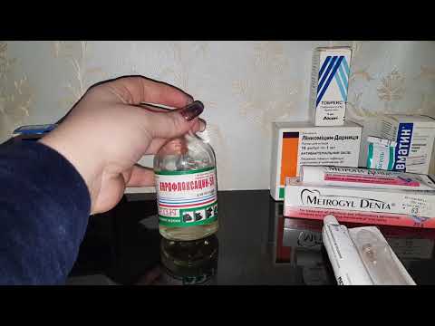 Видео: Какие Лекарства для Шиншилл должны быть дома! Аптечка для Шиншилл!