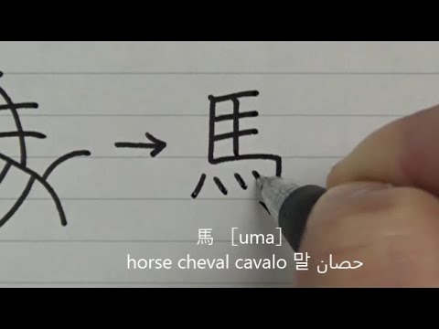 Видео: Происхождение иероглифов, связанных с живыми существами | Учить японский
