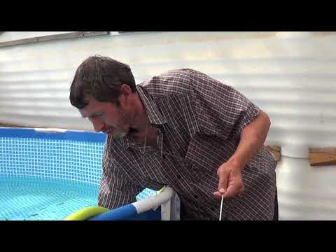 Видео: ЖИЗНЬ ФОРЕЛИ//ПЕРЕСАЖИВАЕМ МАЛЬКА//ПРИРОСТ  РЫБЫ В УЗВ// ЗА ДВА МЕСЯЦА