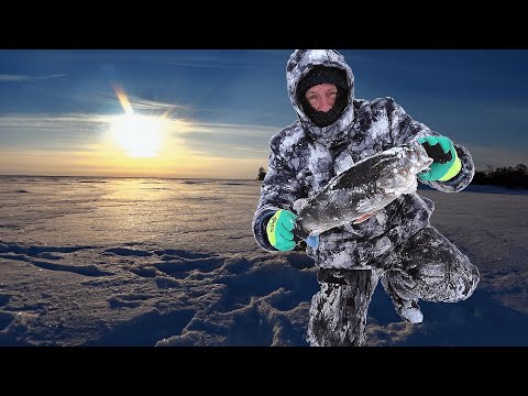 Видео: Один на огромном озере - 2.  Тайга ХМАО - Югры.