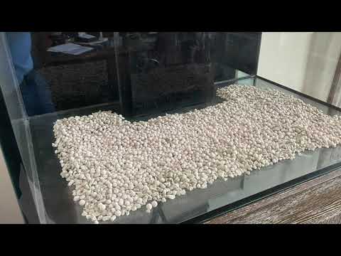 Видео: Создание пленума в аквариуме SCA с использованием Fluval Stratum: Кевин Новак, доктор философии.