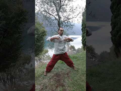 Видео: Про #Здоровье (254) #практика #гимнастика #цигун #танцы