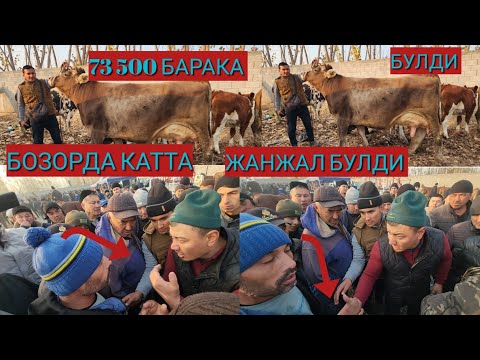 Видео: МОЛ БОЗОРИДА КАТТА ЖАНЖАЛ БУЛДИ БУГУН АНДИЖОН ШАХРИХОН ЖУЧА МОЛ БОЗОРИ