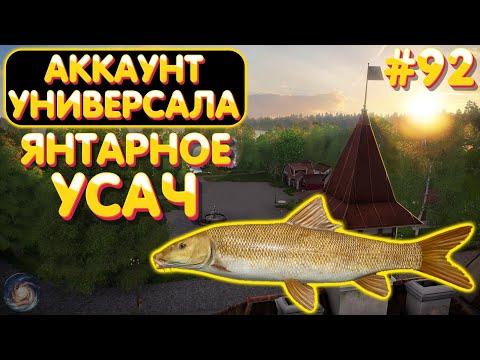 Видео: Аккаунт универсала #92 | ФАРМ + Усач | оз. Янтарное | Русская Рыбалка 4