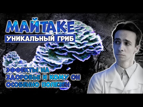 Видео: Майтаке - уникальный лечебный гриб при ожирении, диабете, раке... Кому он особенно полезен.