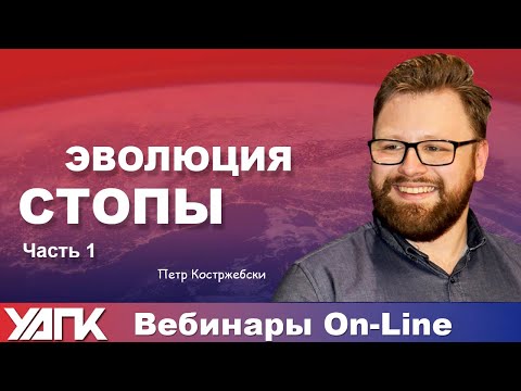 Видео: Вебинар:  Эволюция стопы / Часть 1 (Пйотр Костшембски)
