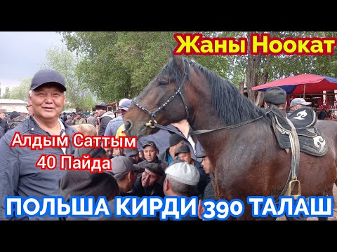 Видео: Жылкы Базарда Польша 390 миң Сатылды