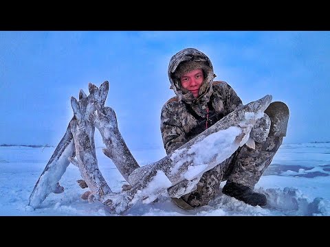 Видео: БЕДА, А НЕ РЫБАЛКА!! ДИКИЙ ЖОР ЩУКИ В ЗАПОЛЯРНУЮ МЕТЕЛЬ !!!