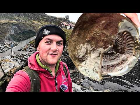 Видео: От залива Солтвик до Уитби — удивительные находки, найденные во время охоты за окаменелостями
