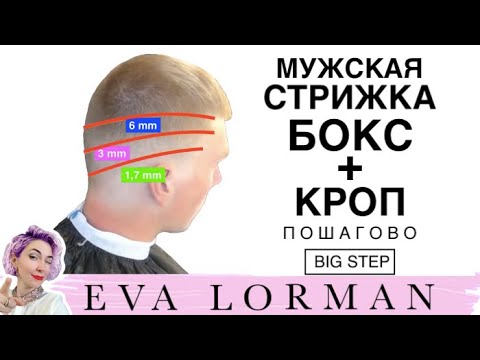 Видео: Мужская стрижка Бокс Кроп Пошагово! Уроки стрижек Евы Лорман