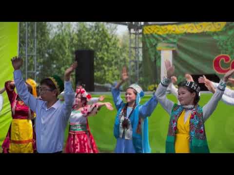 Видео: Бесқарағай ауданы