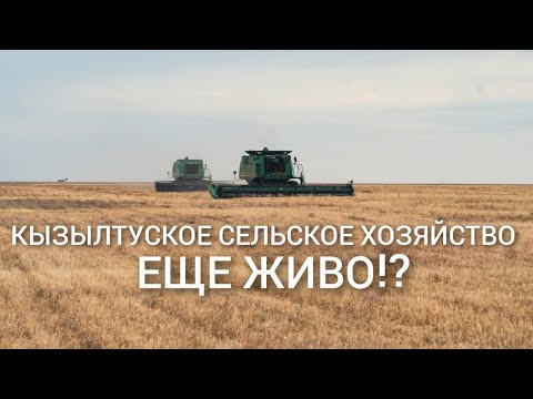 Видео: Сельское хозяйство Северного Казахстана. О том, как работает ТОО "Кызылту Нан". Кишкенеколь, Кызылту