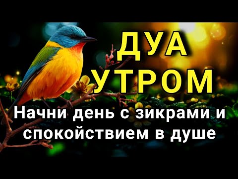 Видео: СИЛЬНЕЙШЕЕ ДУА УТРОМ ОТ ВСЕХ БЕД 🔑✨🤲💯