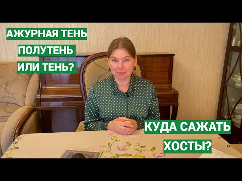 Видео: Тень-полутень. Выбираем место для посадки хост