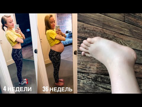 Видео: 3 ТРИМЕСТР БЕРЕМЕННОСТИ: Особенности, подготовка, страхи