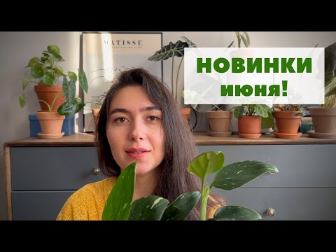 Видео: Обзор новых растений в моей коллекции / ИЮНЬ 2022