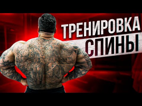 Видео: КАК НАКАЧАТЬ СПИНУ КАК У МУТАНТА?