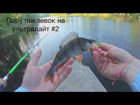 Видео: ПАРУ ПОКЛЕВОК НА УЛЬТРАЛАЙТ #2