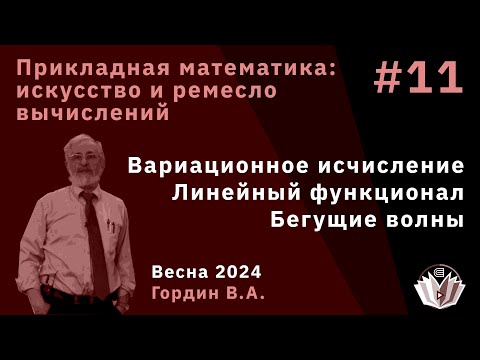 Видео: Прикладная математика: искусство и ремесло вычислений 11. Вариационное исчисление, функционал
