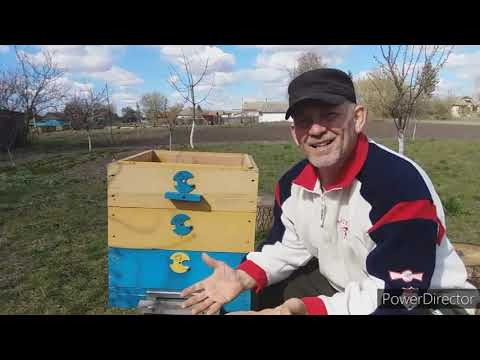Видео: Летом пчёлы не парятся и не выкучиваются, зимой не мёрзнут и не гибнут. И сетчатое дно тут не причём