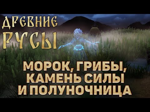 Видео: Морок, грибы, камень силы и полуночница ❄ Древние Русы ❄ №6