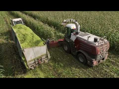 Видео: Заготовка силоса на полях Новосибирской области! Моменты заготовки.