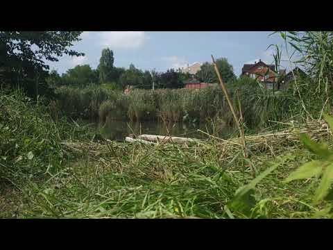 Видео: Почему плохие люди живут лучше хороших.