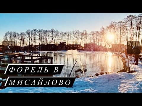 Видео: Открытие Сезона Спиннинга  |  Ловим Форель со Льда | Рыбалка в Мисайлово
