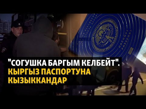 Видео: "Согушка баргым келбейт". Кыргыз паспортуна кызыккандар