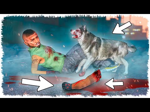 Видео: Рекс Джонниді ӨЛТІРДІме? (GTA V)нурченл джони окигасы дако жони мен касой