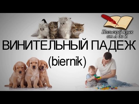Видео: Польский язык от А ДО Ż - Винительный падеж (10 урок)