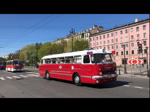 Видео: ТранспортФест 2024. Автобусы