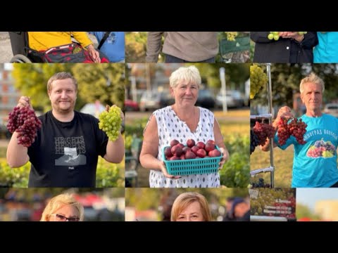 Видео: Беларусь. Выставка винограда Пинск 2025. Часть первая.