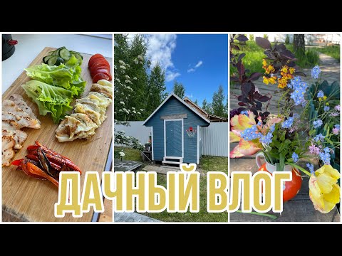 Видео: Дачный влог. Участок сразу стал аккуратным. Вкуснейший завтрак 🥞.