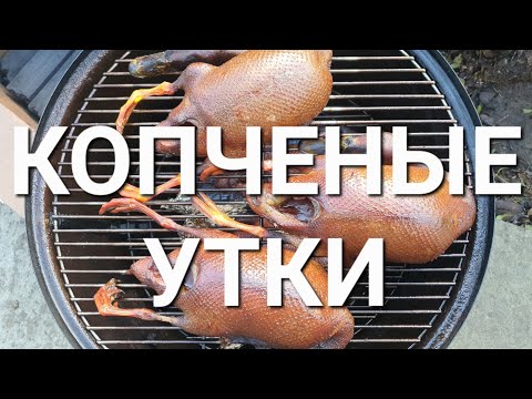 Видео: КОПЧЕНЫЕ КРЯКОВЫЕ УТКИ. ОХОТА НА КУБАНИ. РЕЦЕПТЫ СЮФ