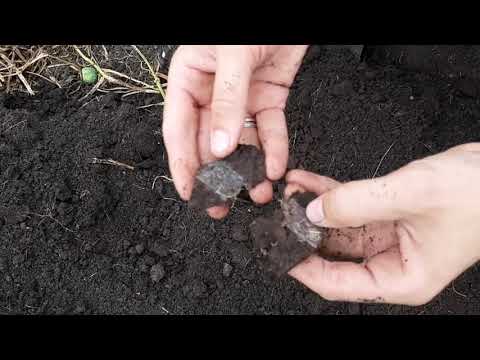 Видео: Плодородный грунт. Добыча. Тот самый сапропель