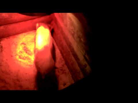 Видео: Отравление. Поросенок сдыхает.