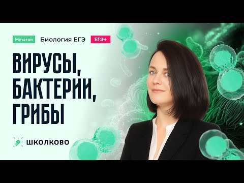 Видео: Вирусы, бактерии, грибы | Углубленный курс подготовки к ЕГЭ 2026 по биологии