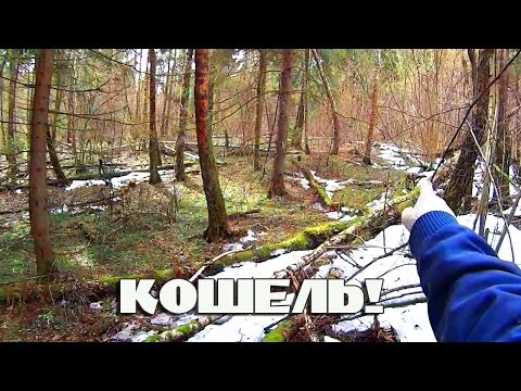 Видео: КОШЕЛЁК МОНЕТ В ЛЕСНОМ ОВРАГЕ!  Кладоискатель Белый Копатель!